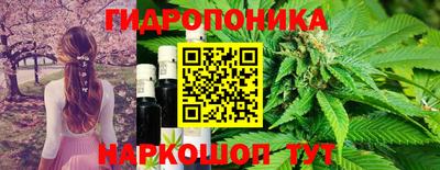 тгк Партизанск