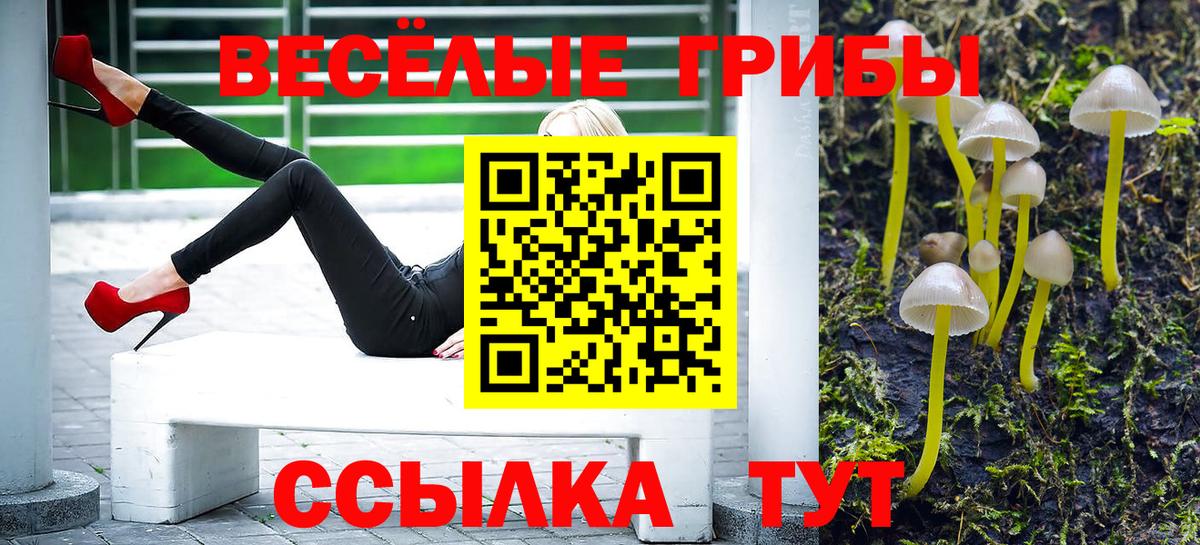 Галлюциногенные грибы Magic Shrooms  Вход с VPN  Арсеньев 