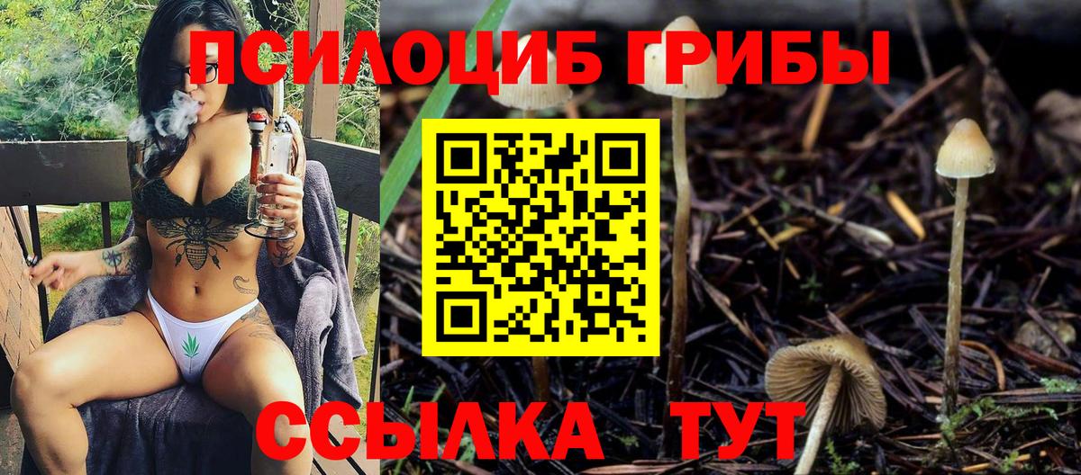 Псилоцибиновые грибы Magic Shrooms Арсеньев